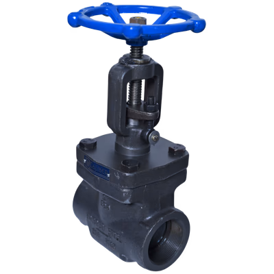 FS GLOBE VALVE - SE / SW / BW / FL - Globe Valves by Caliber Valves | A105 / F304 / F316 / Duplex / Super Duplex / Alloy Steel, Size: 15 to 50 DN