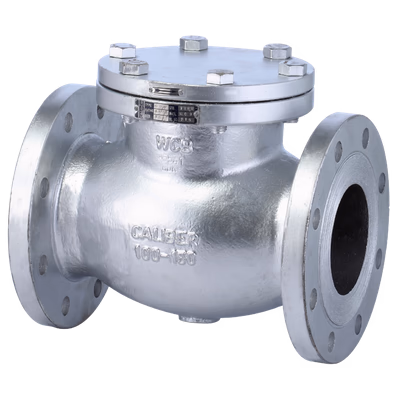 CS / SS LIFT CHECK VALVE - BW / FL - Lift Check Valves (NRV) by Caliber Valves | WCB / CF8 / CF8M, Size: 25 to 200 DN