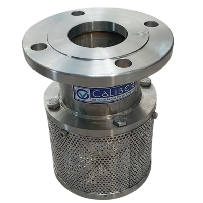 CS / SS FOOT VALVE - SE / FL - Foot Valves by Caliber Valves | WCB / CF8 / CF8M, Size: 25 to 200 DN