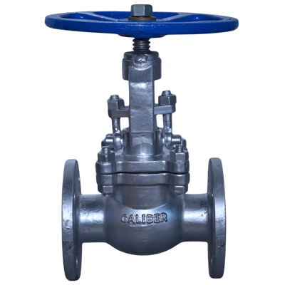 CS / SS GLOBE VALVE - SE / SW / BW / FL - Variant 2 - Globe Valves by Caliber Valves | WCB / CF8 / CF8M / Spl. Alloys, Size: 25 to 600 DN